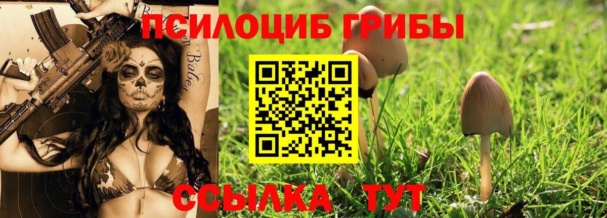 Галлюциногенные грибы мицелий  Галлюциногенные грибы GOLDEN TEACHER  Костомукша  Вход с VPN 